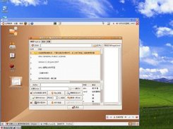 run with qemu in windowsxp