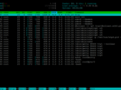 Showing memory and cpu usage