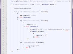 Programmer's code