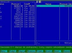 A window without title bar