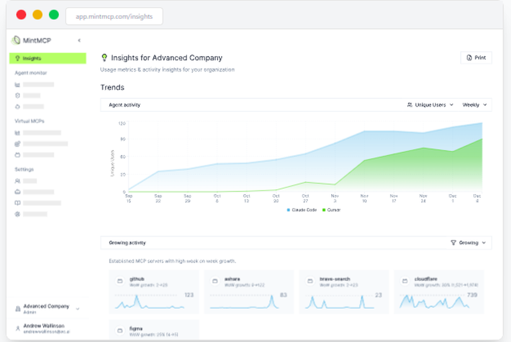 MintMCP Screenshot 1