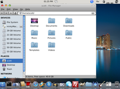 mintyMac-i386 (14.04) Screenshot 4