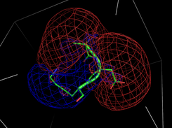 Electrostatics MIP of a short peptide