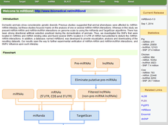 miRBond Screenshot 1