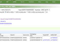 miRBond Screenshot 4