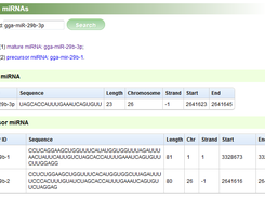 miRBond Screenshot 5