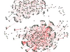 Network of miRNA-mRNA interacting pairs