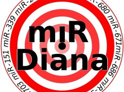 miRDiana