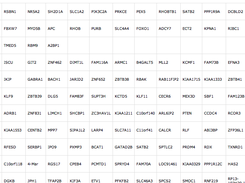 miRNA:mRNA/gene target network spreadsheet