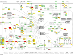 Pathway modification diagram