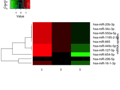 A heat map of miRNAs (p<0.05) identified using linear regression model