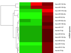 A heat map of miRNAs (p<0.05) identified using non-linear analysis