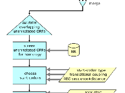 Annotation pipeline flowchart