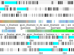 RNAseq visualisation in Artemis - sequence tiles