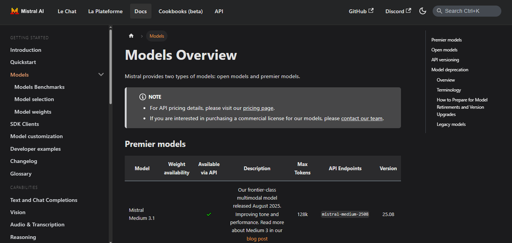 Mistral Medium 3.1 Screenshot 1