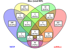 Software comparison in sample 1