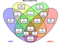 Software comparision in sample 2