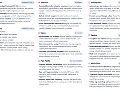 Example Audience Research Output