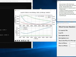 Mixed System Simulator