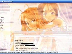 The Image of the new Program