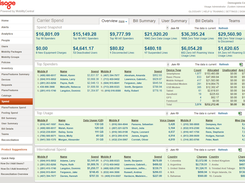 Visage Mobile's MobilityCentral Spend Dashboard