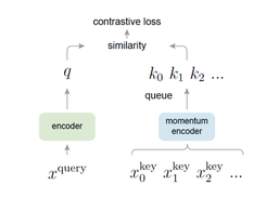 MoCo (Momentum Contrast) Screenshot 1