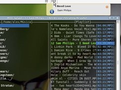 Next song at applet and mocp window at background