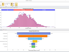 ModelRisk Screenshot 2