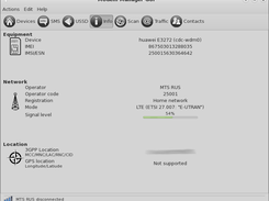 Network info window