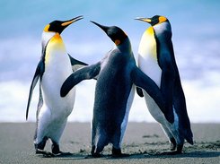 Installer Background