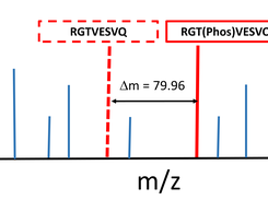 ModST aids in modification identification