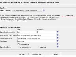 Sybase Adaptive Server Enterprise