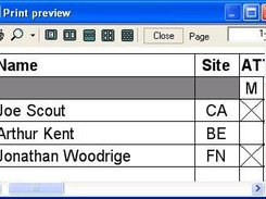 Print preview functionality
