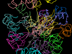 3D Genome Model