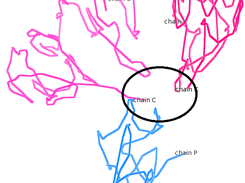 MOGEN Screenshot 3