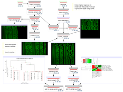 Expression Workflow