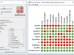 Startscreen and knockout matrix