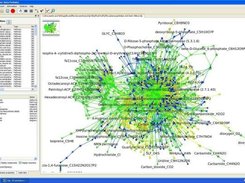 global network viewed in Systrip