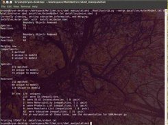 Rast2Systrip command line environment