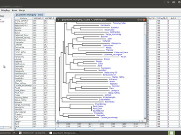MolMarker-in Ubuntu MATE