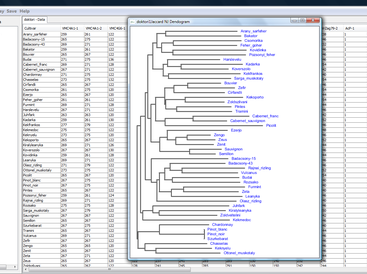 MolMarker-in Windows