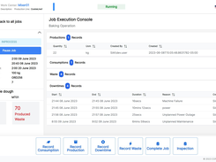 Job Execution Console