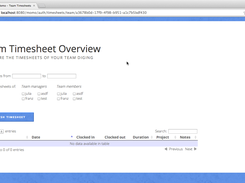 Momo Team Timesheet Screen