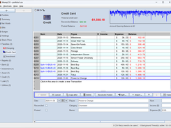Bank/Credit/Asset Account View