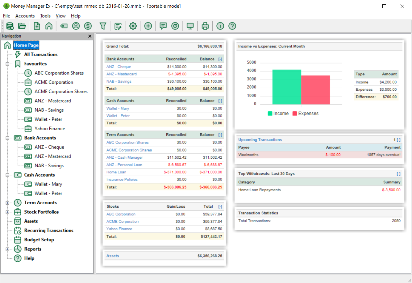 money manager ex review