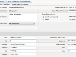 Business Valuation Specialist Screenshot 1