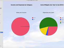 MoneyWorks Screenshot 1