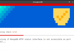 mongoaudit Screenshot 1