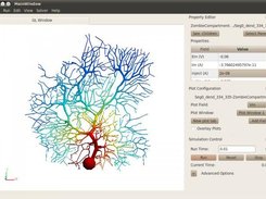 MOOSE GUI running a Purkinje cell model