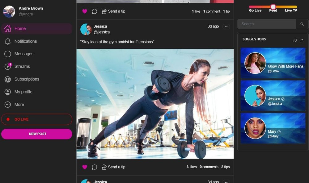 MoreFans.App Feed
